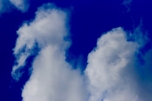 a0248459_15454557.jpg