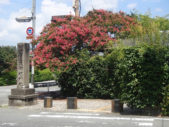 b0044663_15084346.jpg