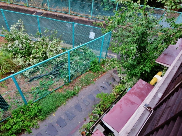 c0099564_18334245.jpg