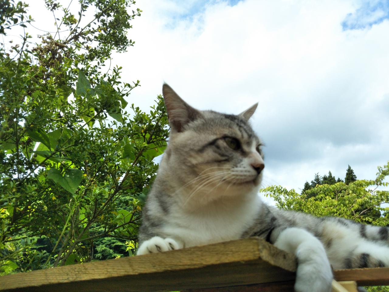 f0208665_213378.jpg