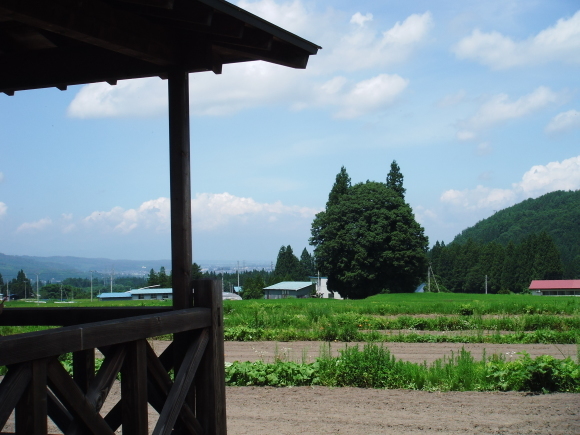 c0325468_18123126.jpg