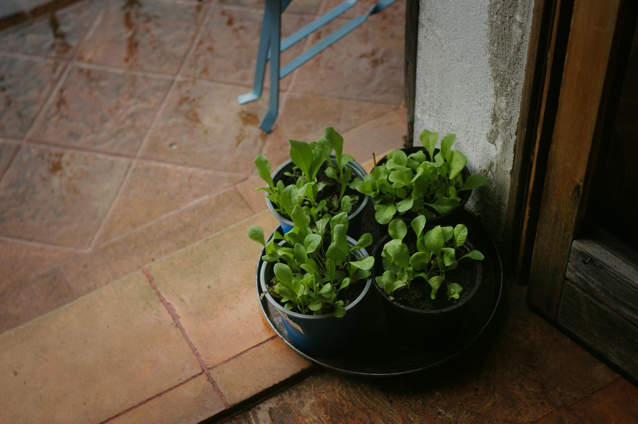 a0364372_13410023.jpg