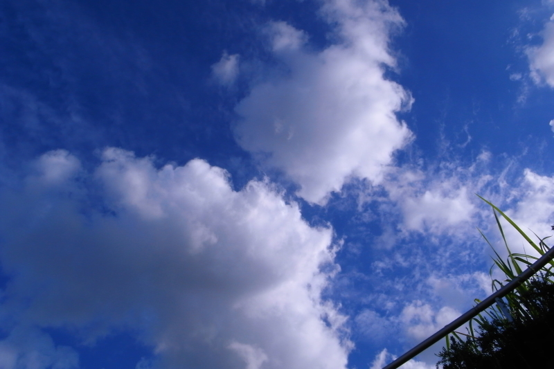 b0326576_23134748.jpg