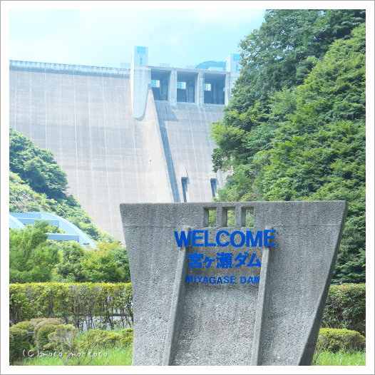 d0274977_19263600.jpg