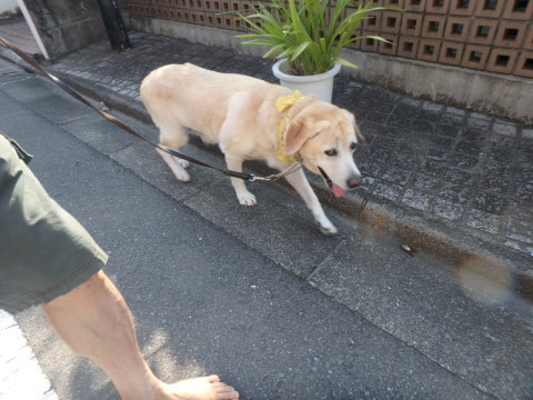f0052277_01505822.jpg