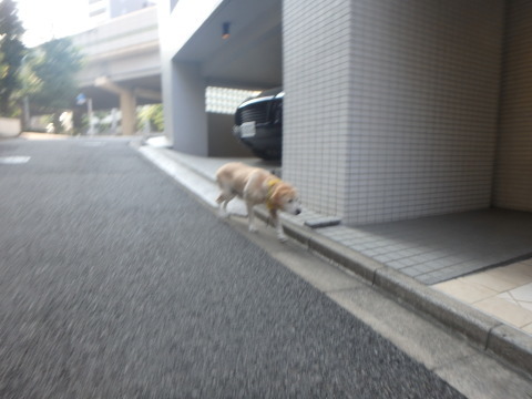 f0052277_01552680.jpg