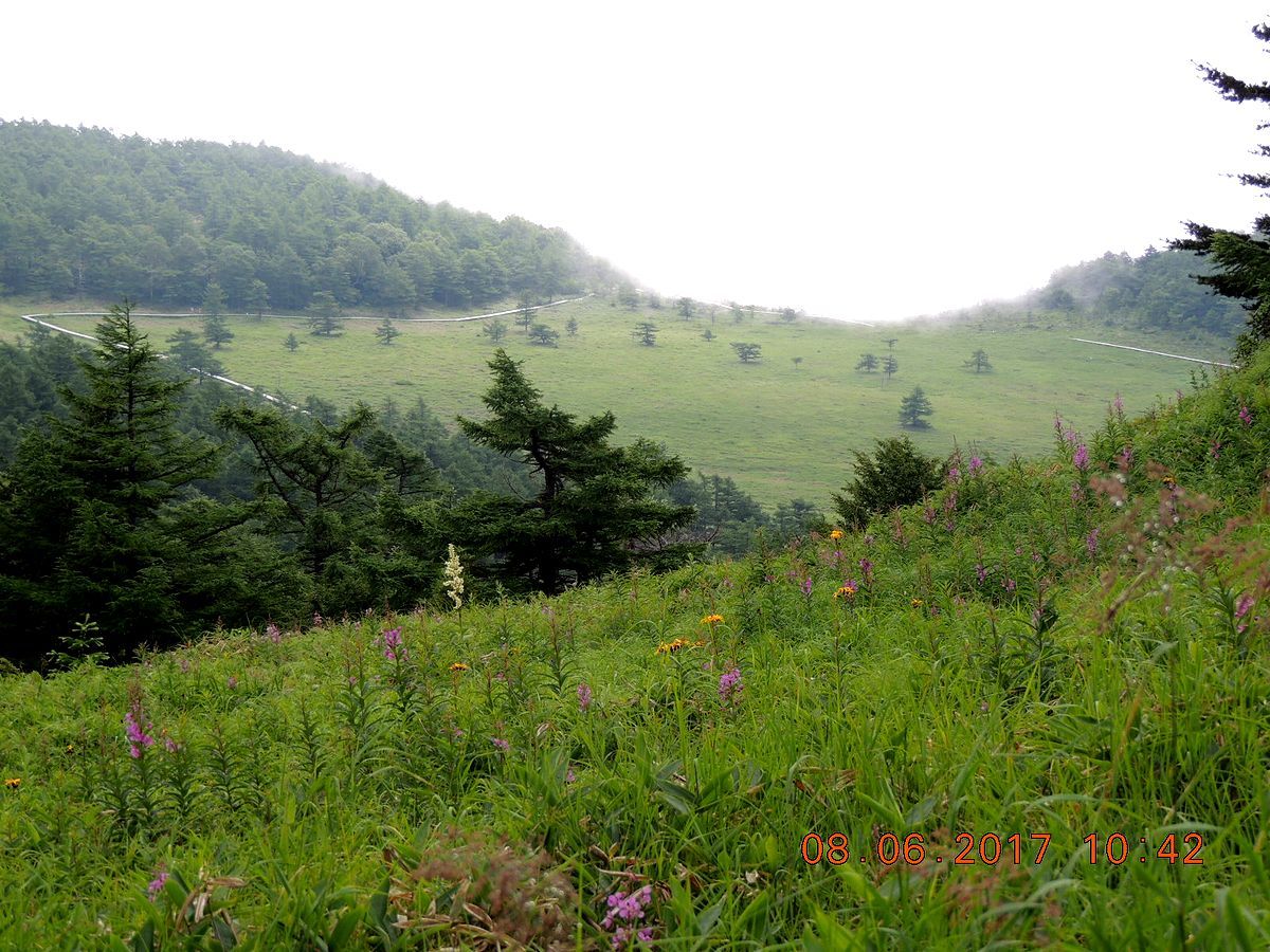 f0104277_21441482.jpg