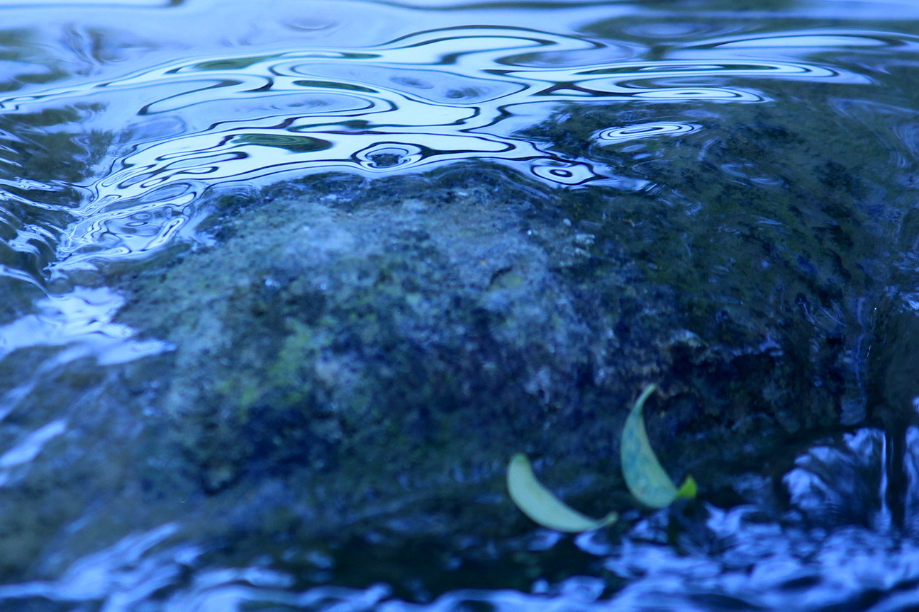 b0093678_09193508.jpg