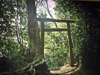 f0222378_944745.jpg