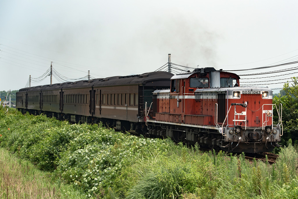 f0014380_20123162.jpg