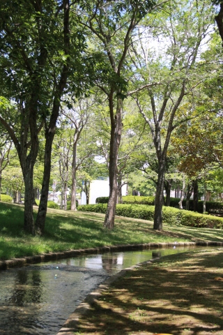 e0154682_22573565.jpg
