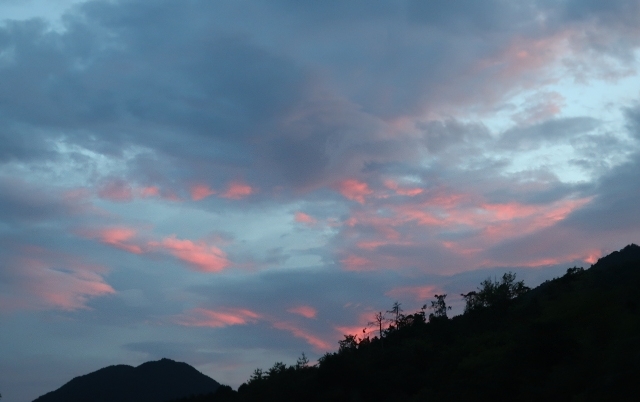 d0098183_16461779.jpg
