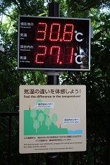 d0183387_21182089.jpg