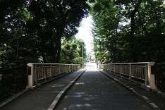 d0183387_21182950.jpg