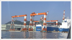 b0130100_08005460.jpg