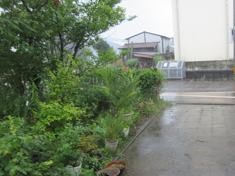 a0203003_16193042.jpg