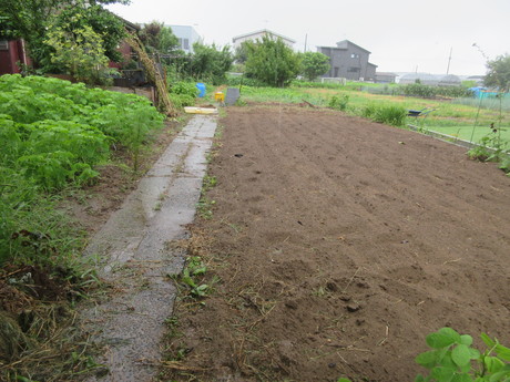 a0203003_1620371.jpg