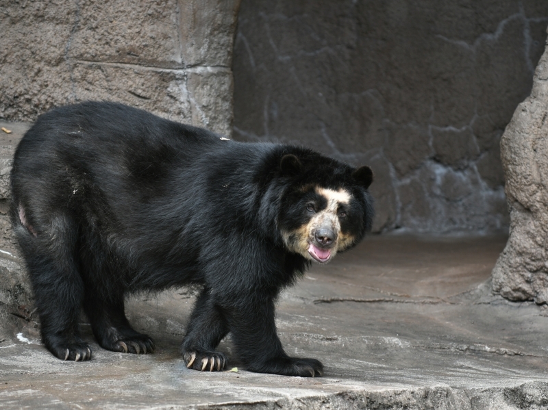 a0164204_07573072.jpg