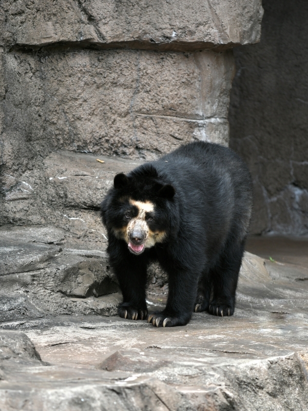 a0164204_07573128.jpg