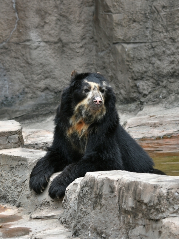 a0164204_07585826.jpg