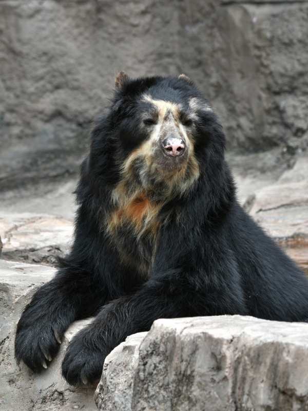 a0164204_07585907.jpg