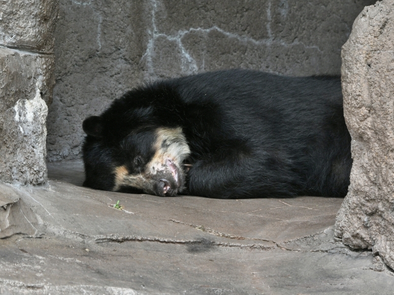 a0164204_08011226.jpg
