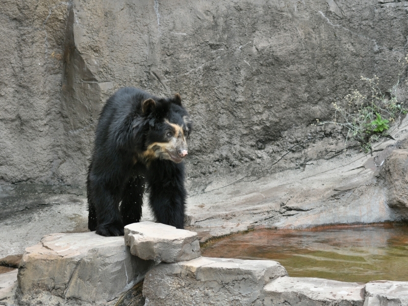 a0164204_08035154.jpg