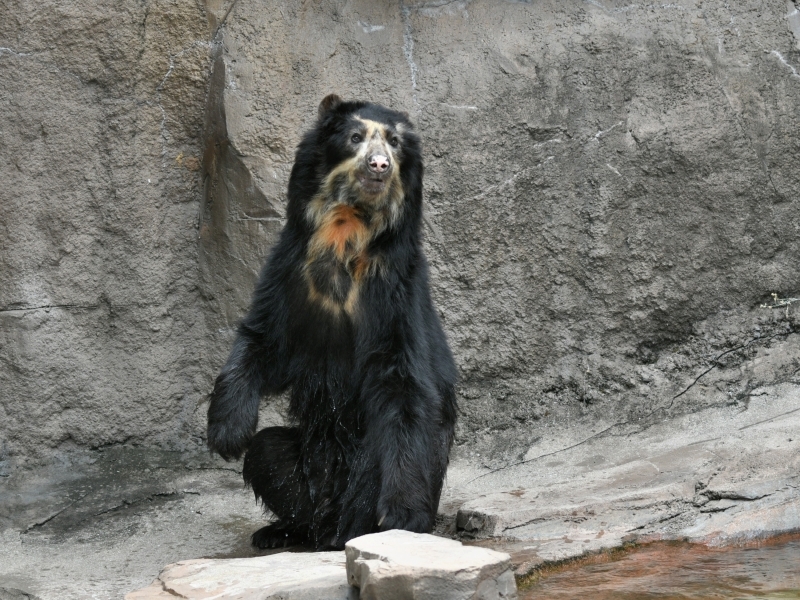 a0164204_08035358.jpg