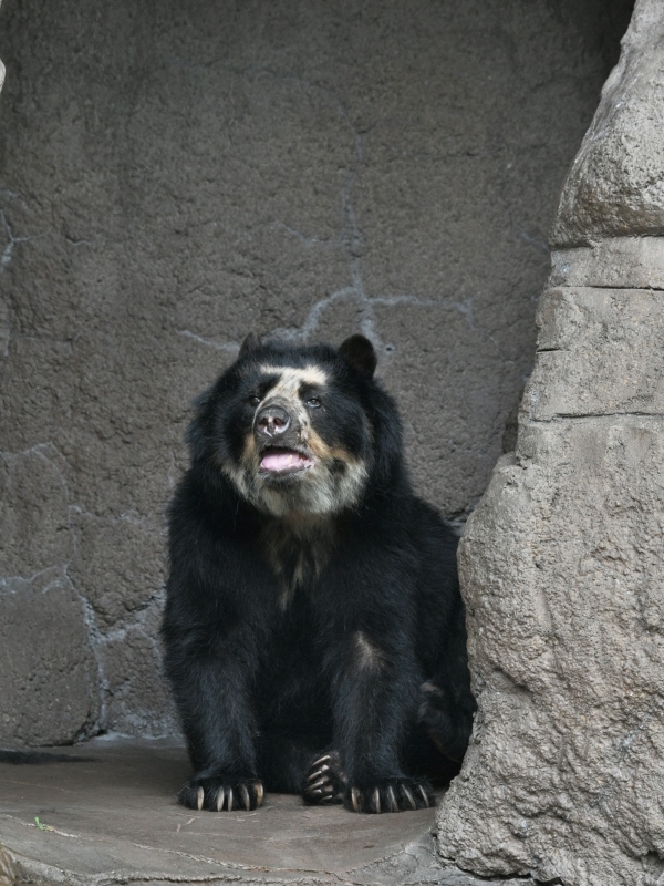 a0164204_08051684.jpg