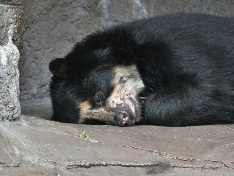 a0164204_08051688.jpg