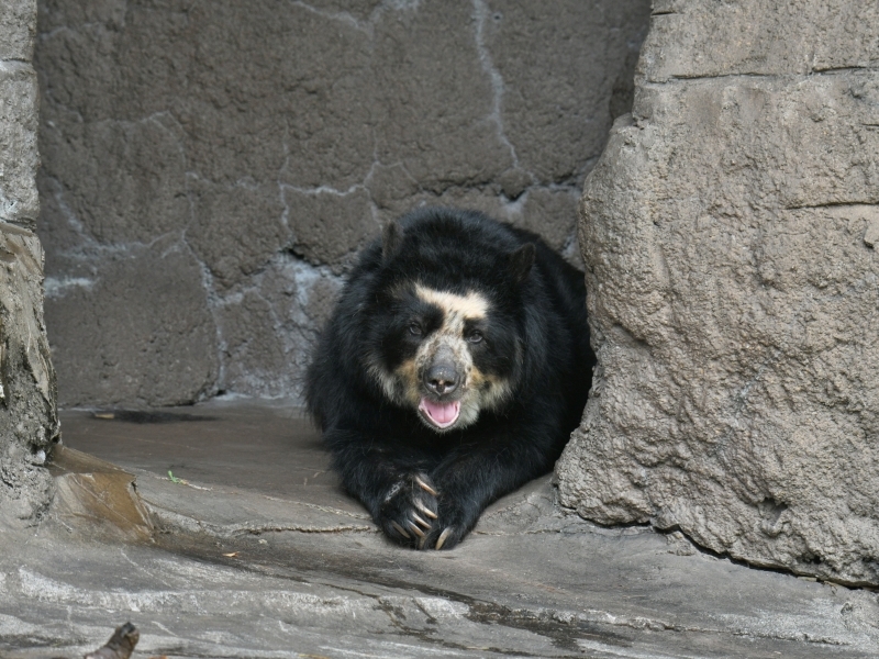 a0164204_08082282.jpg
