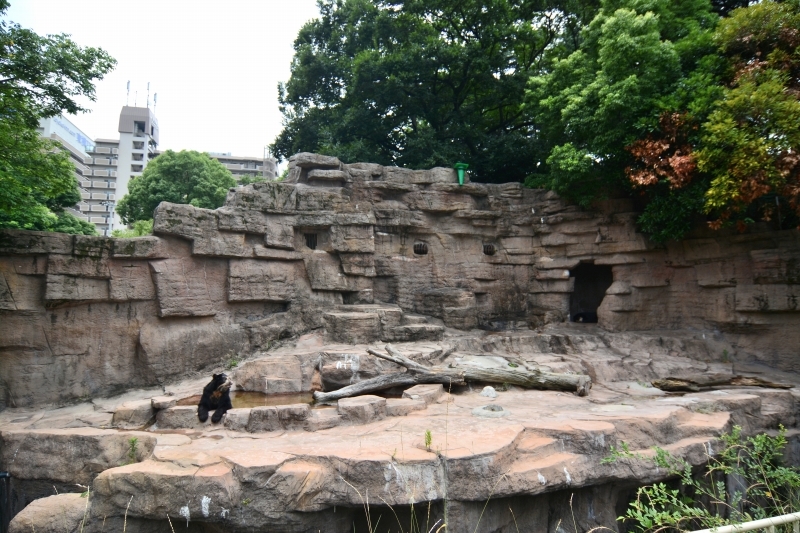 a0164204_08123105.jpg