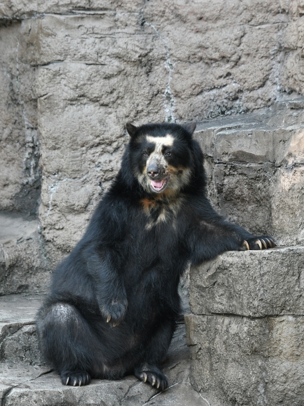 a0164204_08123252.jpg