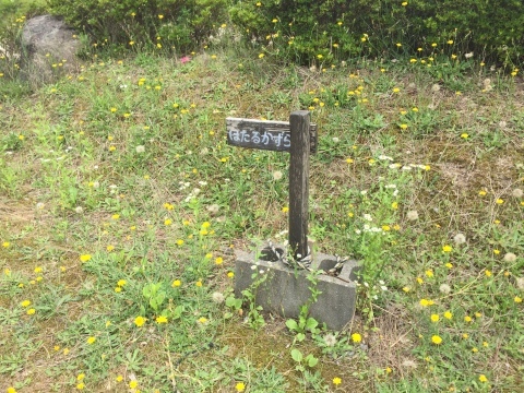 e0115904_10481249.jpg
