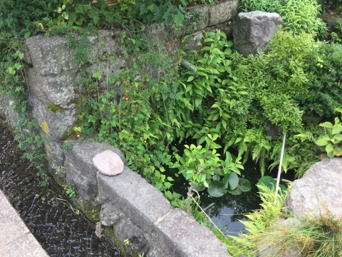 e0115904_10481800.jpg