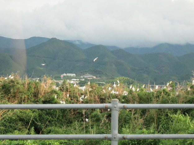 f0231709_00373311.jpg