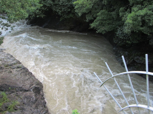 f0231709_08515252.jpg