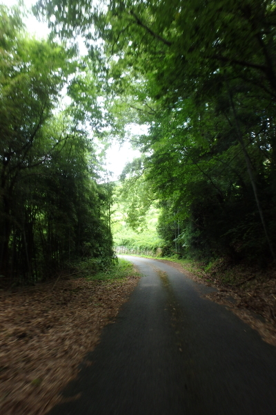 f0368610_03452166.jpg