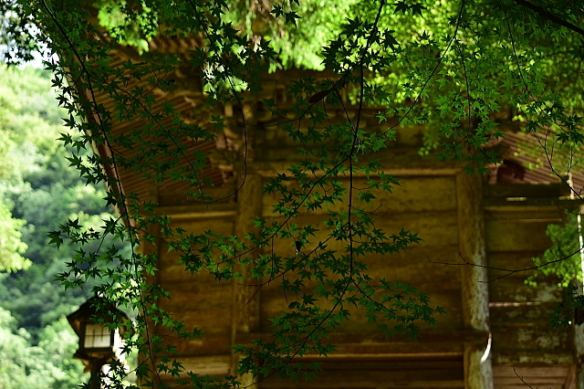 f0368610_03545923.jpg
