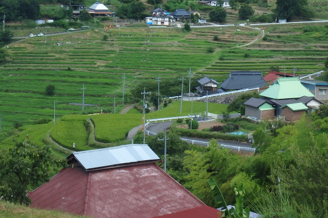 f0368610_03565160.jpg