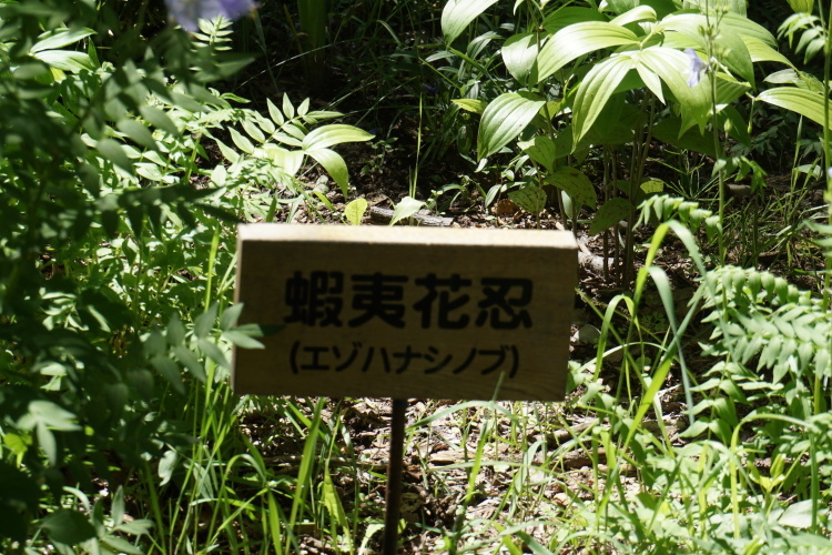 d0200811_00015457.jpg