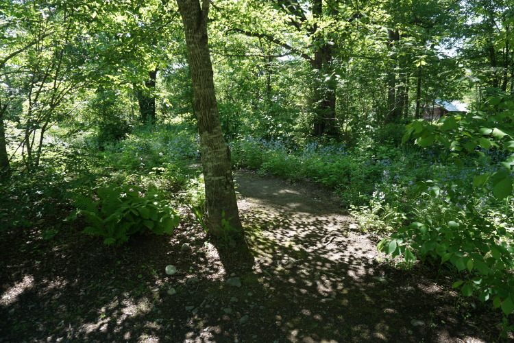 d0200811_00043695.jpg