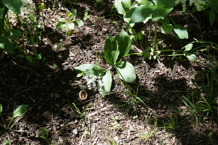 d0200811_00055771.jpg