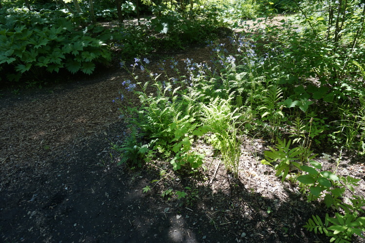 d0200811_00063469.jpg