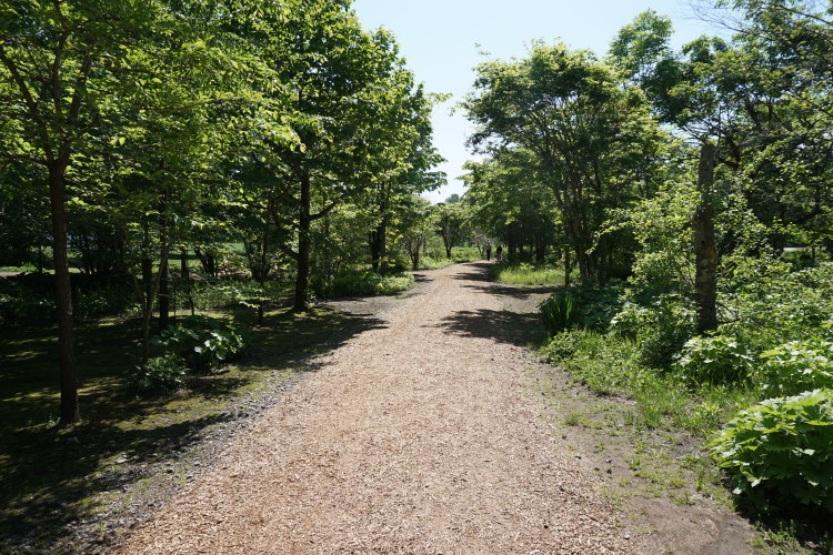d0200811_00084056.jpg