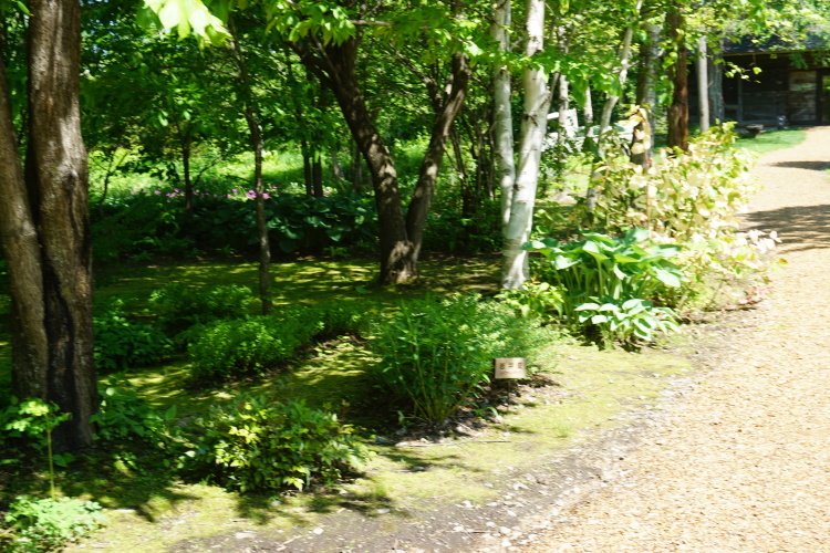 d0200811_00114727.jpg