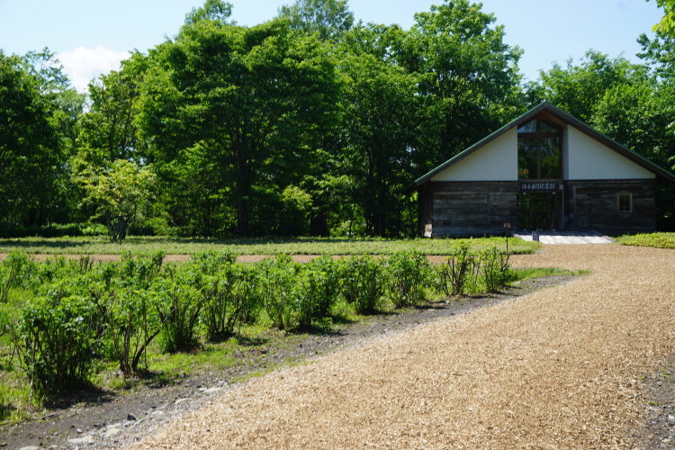 d0200811_00152991.jpg