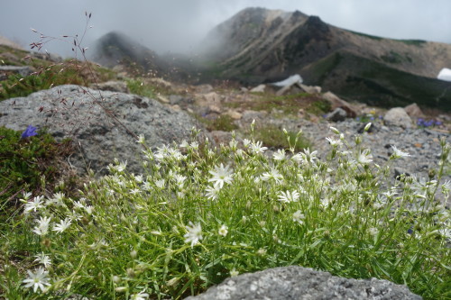 c0223019_15545192.jpg