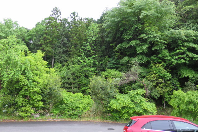 a0022024_16070010.jpg
