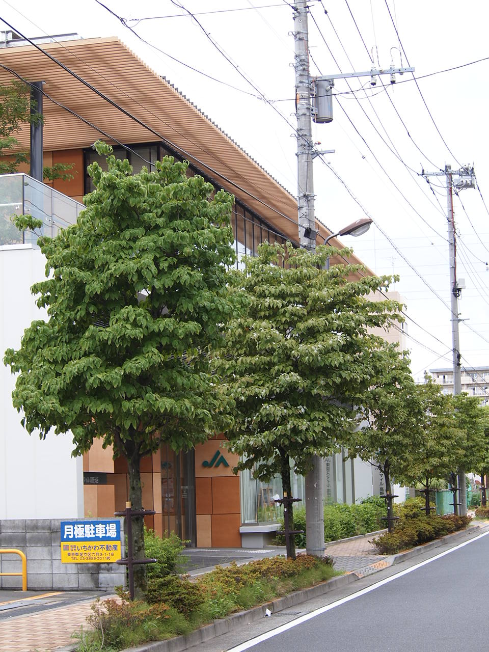 a0214329_17295891.jpg